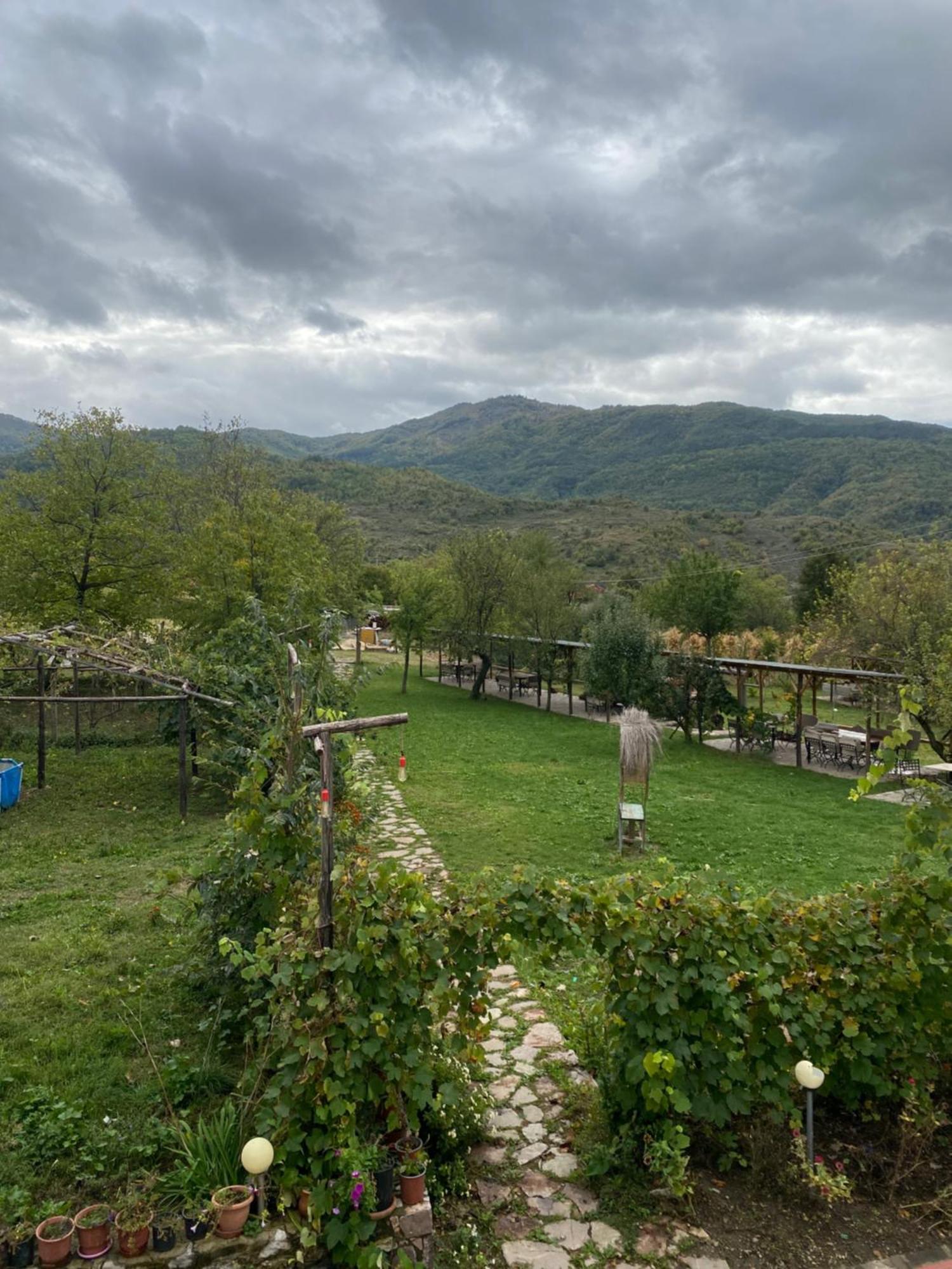 Vila Disha Tirana Exterior foto