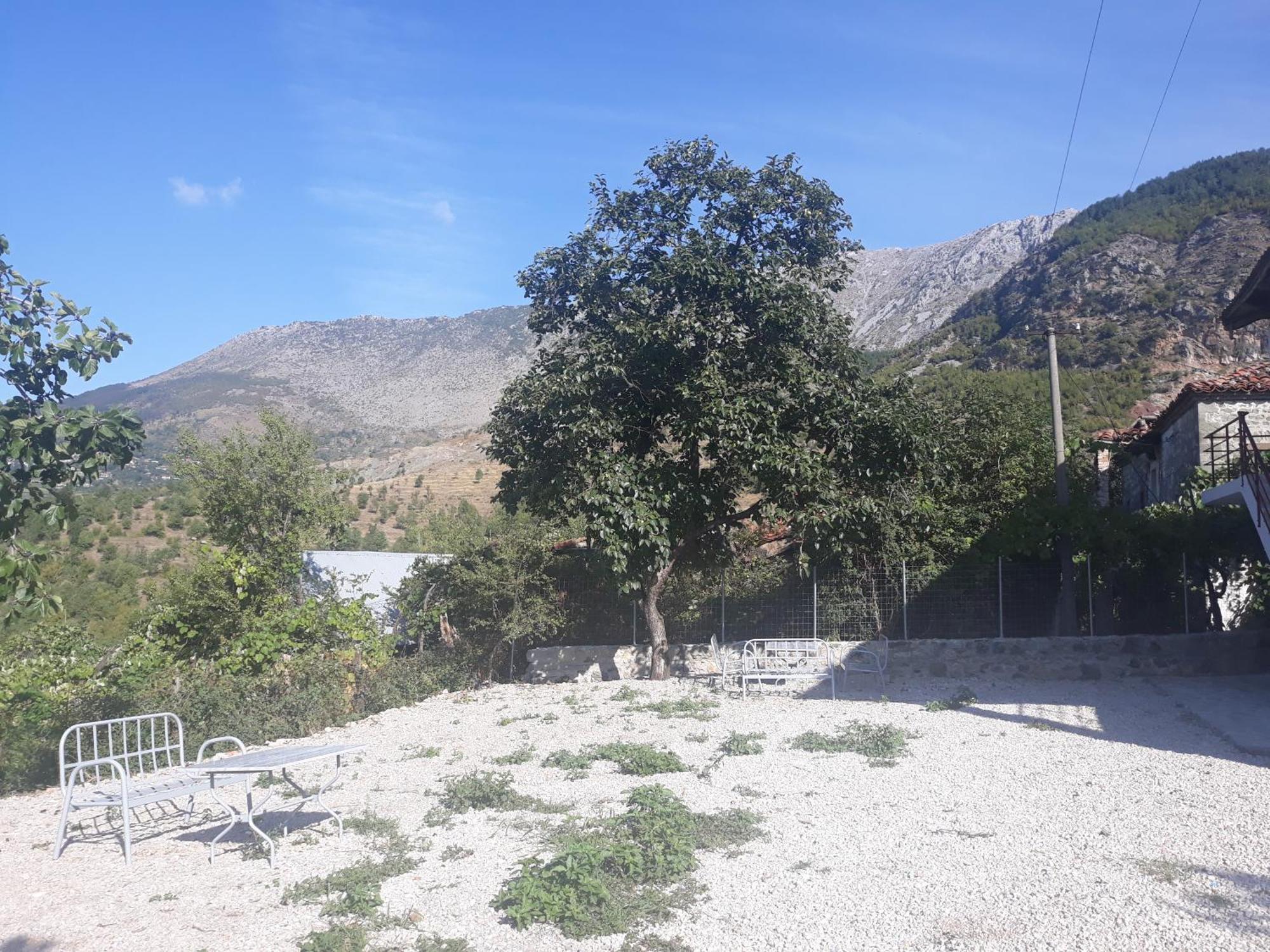 Vila Disha Tirana Quarto foto
